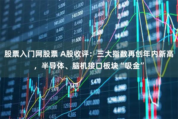 股票入门网股票 A股收评：三大指数再创年内新高，半导体、脑机接口板块“吸金”