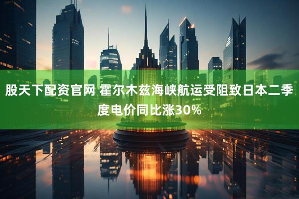 股天下配资官网 霍尔木兹海峡航运受阻致日本二季度电价同比涨30%